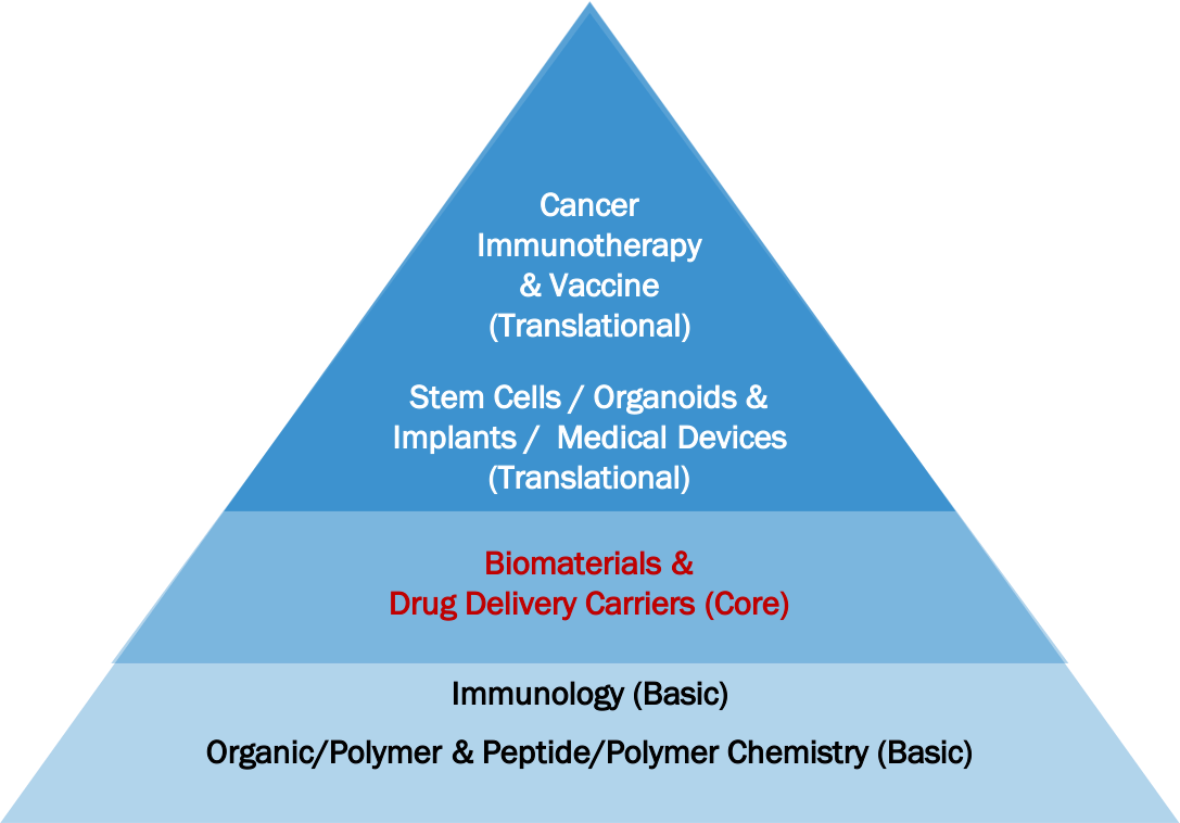 Pyramid with Basic Immunology and Basic Organic/Polymer & Peptide/Polymer Chestiry on the bottom; Biolmaterials & Drug Delivery Carries on 2nd level; Stem Cells/Organoids & Implants/Medical Devices (Translational) on the 3rd level; and Cancer Immunotherapy & Vaccine (Translational) on the top level.